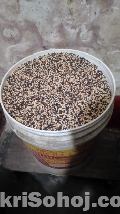 কবুতরের খাবার কালো দানা সাদা বাজরা